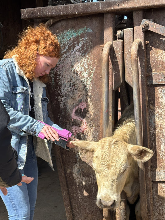 Little Red's Beeswax Chapstick