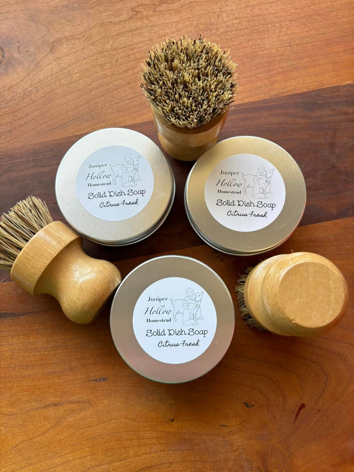 Solid Dish Soap Set - Citrus Mint with Scrubber
